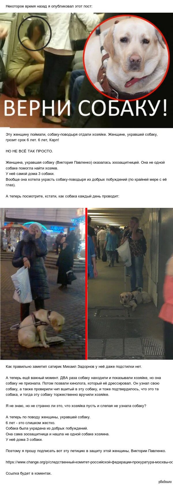 Украли собаку объявления. Собака укравшая бант убегающая фото. Собака ворует. Небольшие собаки для охраны квартиры. Украли собаку что делать.