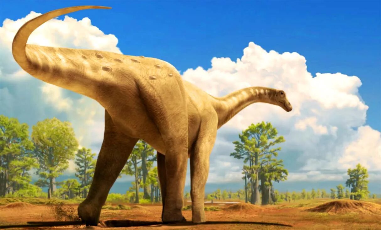 Патаготитан. Argentinosaurus динозавр. Диплодок динозавры юрского периода. Амфицелия динозавр. Маменчизавр парк юрского периода 2.