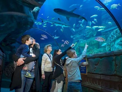 Sea life