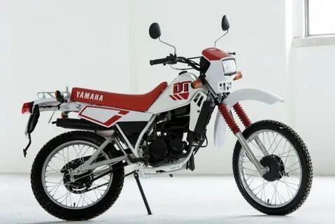 Dt 50