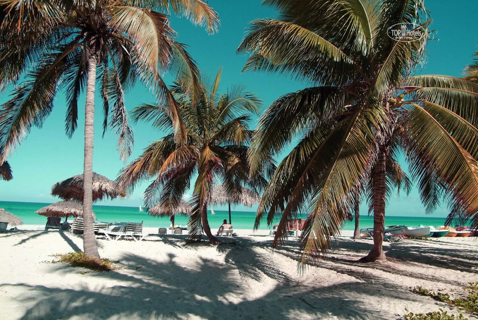 Куба путевка 2023. Куба пляж Варадеро. Варадеро 2023. Sun Beach Куба Варадеро. Пляжи Кубы Варадеро.