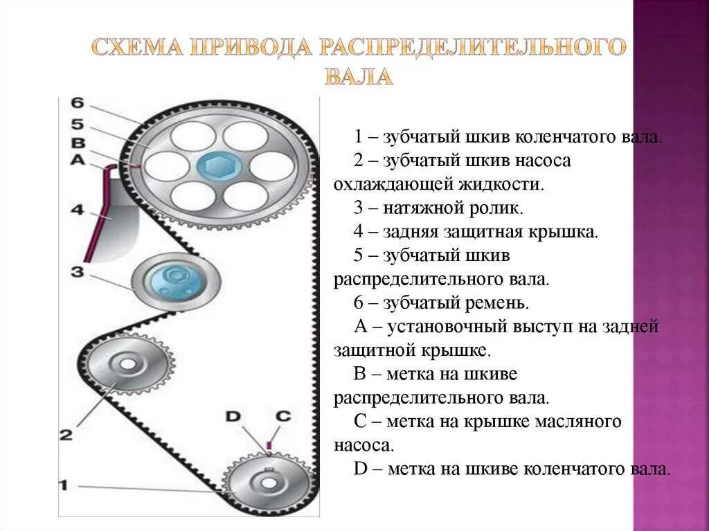 Метки грм 8 кл. Схема привода распределительного вала ВАЗ 2110. Схема ремня ГРМ ВАЗ 2114. Ремень ГРМ ВАЗ 2114 16 клапанов. Схема привода распределительного вала ВАЗ 2114.