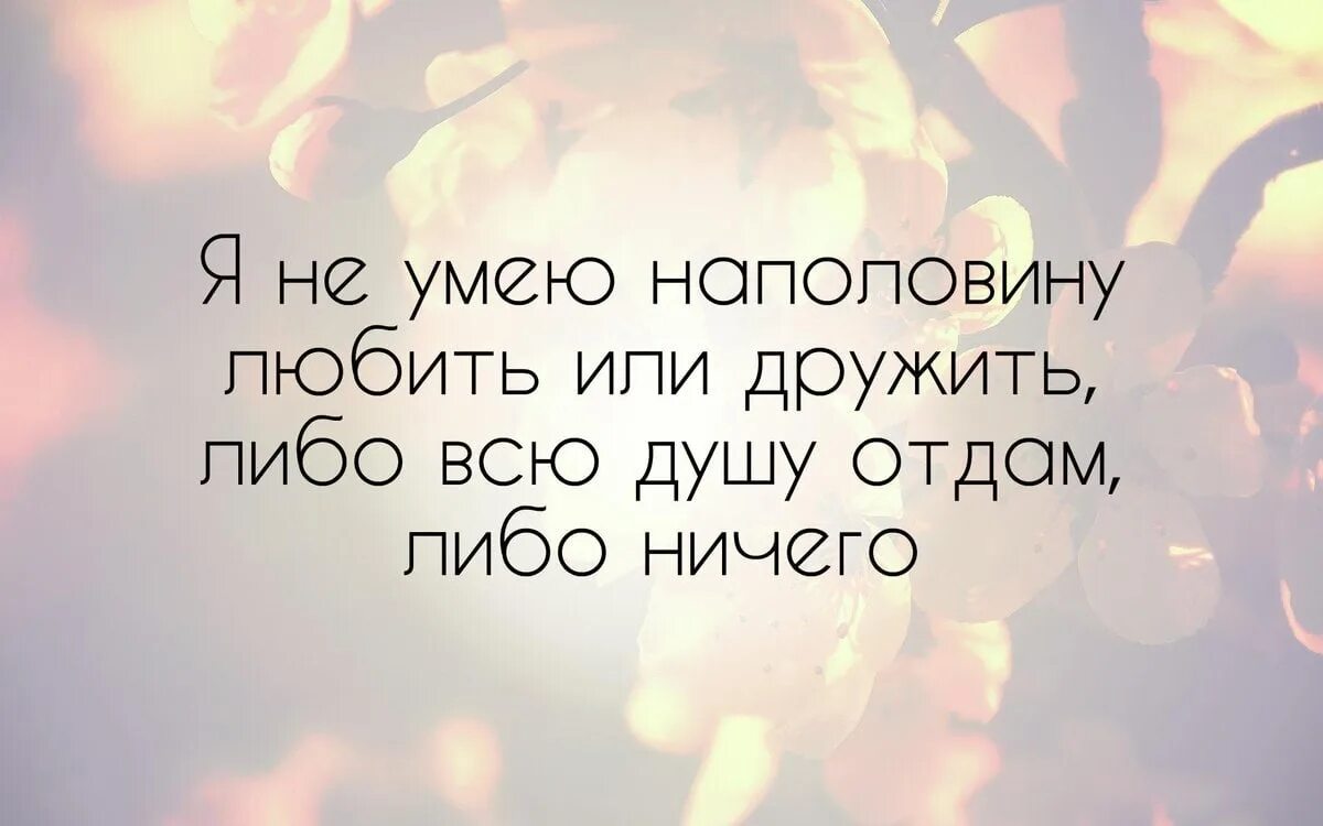 Отдала бывшему всю душу. Люди разучились любить цитата. Я не умею дружить цитаты. Не умею любить наполовину. Я не умею любить.