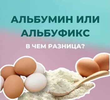 Яичный альбумин какой белок
