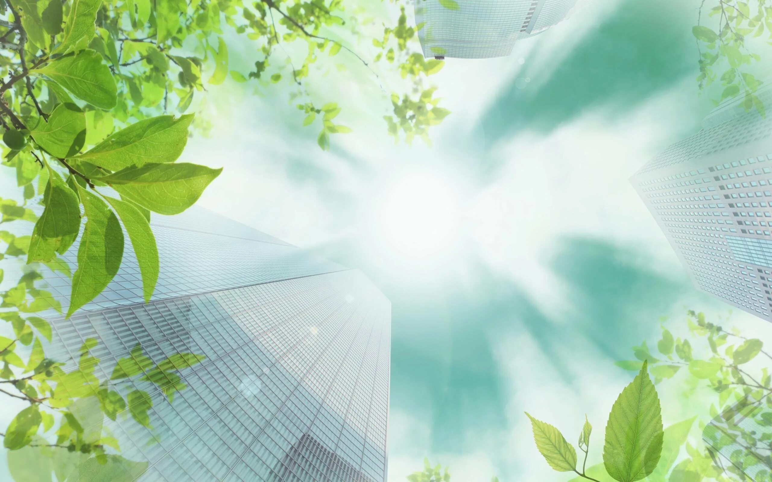 Экологический фон. Окружающая природа. Окружающее строго. Окружающее строго. Фон для презентации деловой.