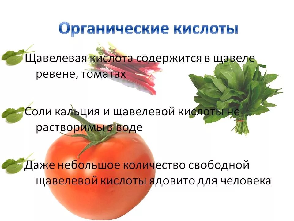 Картинки РАСТЕНИЯ СОДЕРЖАЩИЕ КИСЛОТУ