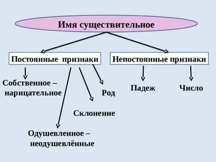 Какой признак относится к имени существительному