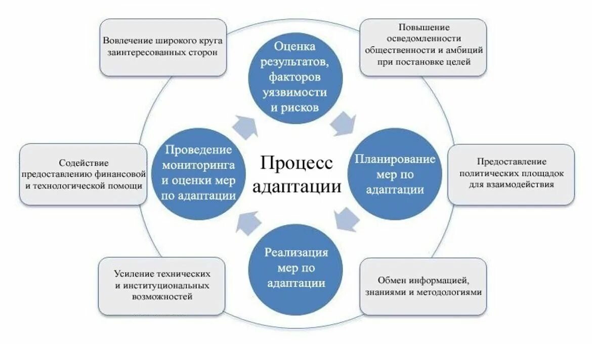 Мероприятия по вопросам адаптации к изменениям климата. Цикл адаптации. Адаптация к изменению климата. Цикл адаптации изменений. Адаптация и митигация к изменению климата.