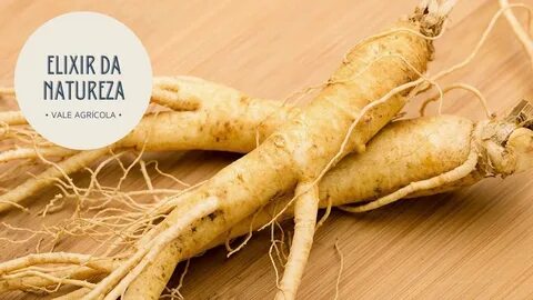 Ginseng five pro