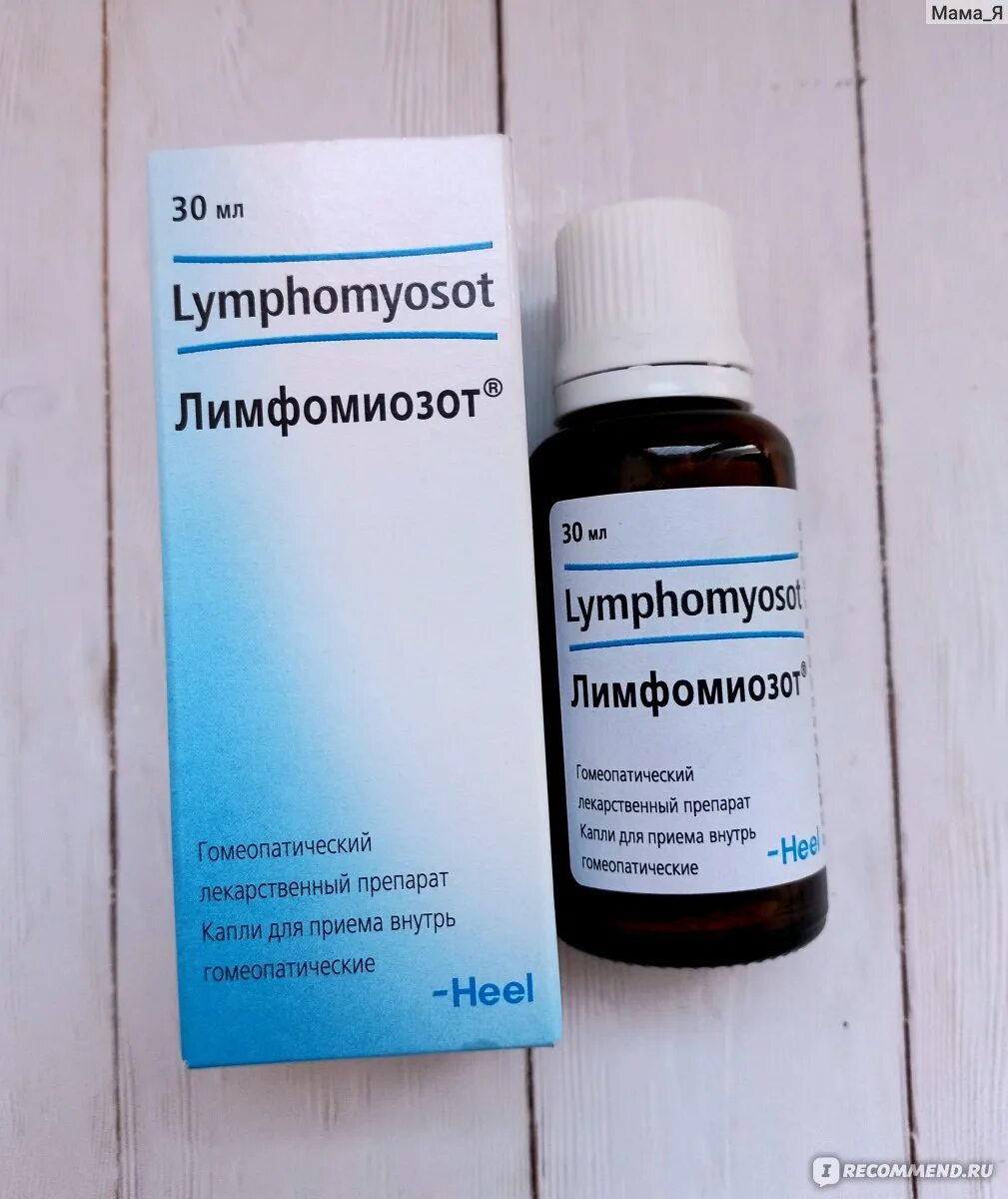 Гомеопатический препарат лимфомиозот. Капли гомеопатия лимфомиозот. Лимфомиозот (капли) + траумель (капли) -. Лимфомиозот Хель капли. Лимфомиозот купить в москве