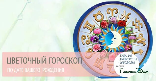 Кто ты по цветочному гороскопу. Цветочный гороскоп. Гороскоп цветы по дате рождения. Цветочный гороскоп по дате рождения. Цветочный гороскоп по знаку зодиака.