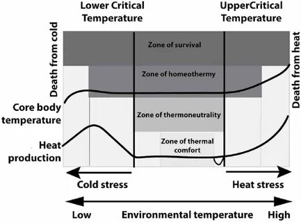 More lower temperature