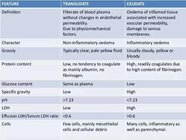 Videocdn. Cdn analytics. Content specific. E learning benefits. Тренды маркетинга.