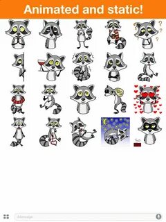 Rocky rakoon animation