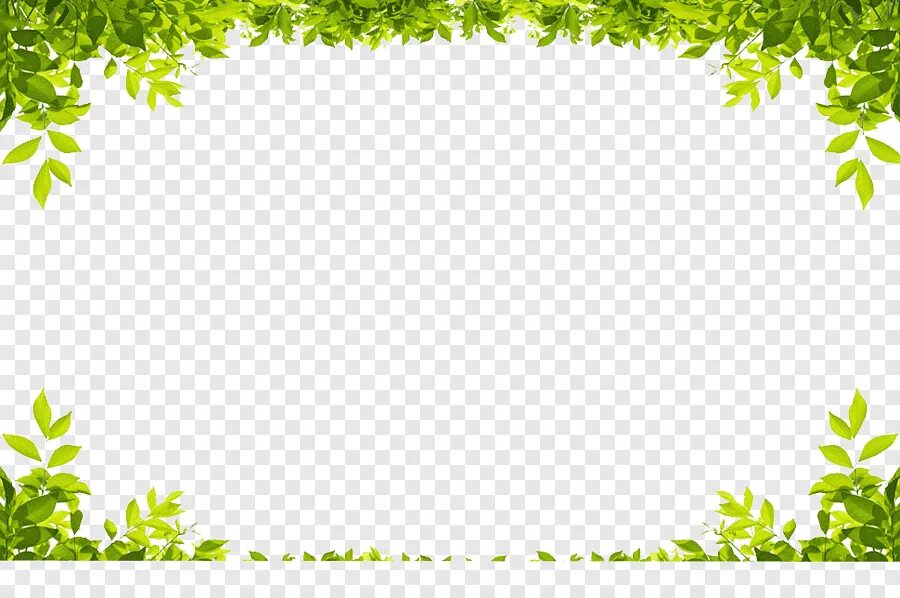 Field frame