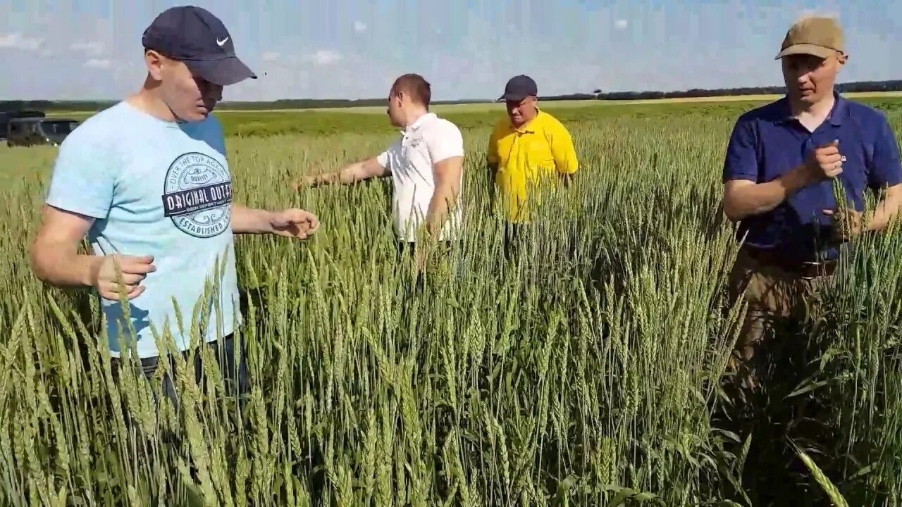 Кфх восток. Восток фермерское хозяйство. Сельскохозяйственная промышленность. Крестьянское фермерское хозяйство. Восток фермерское хозяйство.