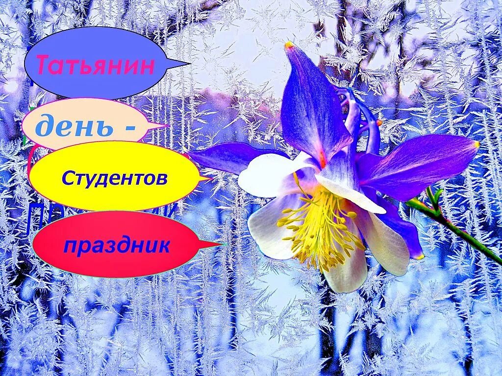 Песня татьянин день играет музыка. Татьянин день. татьянин день для детей. день студента татьянин день. татьянин день открытки.