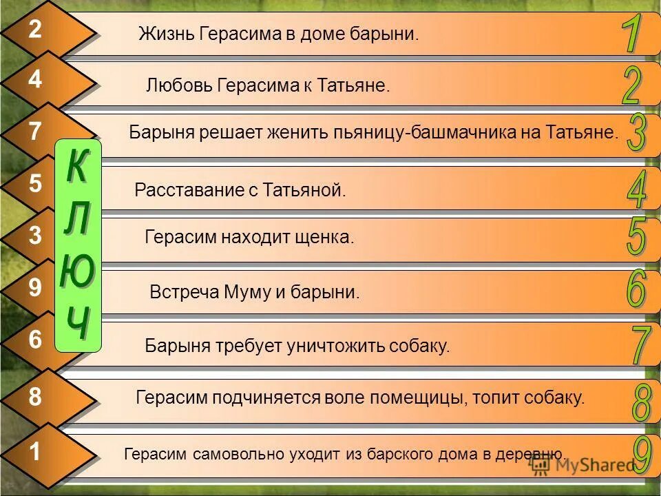 Почему так ведет себя собака в доме барыни. Почему так вела себя муму в доме барыни. Эпизод муму в доме барыни. Жизнь герасима в доме барыни. Приживалка барыни в муму.