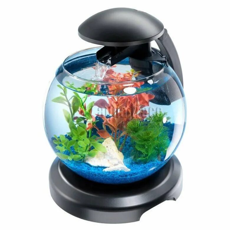 Аквариум Tetra Cascade Globe. Аквариум круглый Cascade Globe. Аквариум Tetra 6.8 л. Аквариум Tetra Repto AQUASET. Фильтр для аквариума для петушка