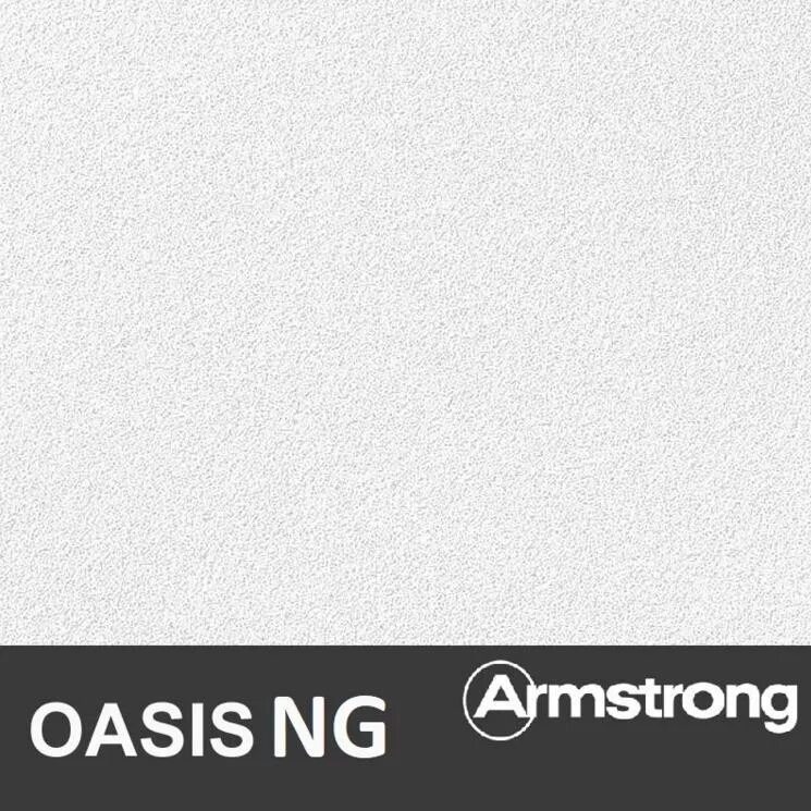 Плита потолочная 600х600х12 мм. Плита потолочная armstrong baikal 595*595*12. Плита потолочная armstrong oasis board 600х600х12 мм. Подвесной потолок армстронг oasis board 600x600x12 мм. Oasis ng.