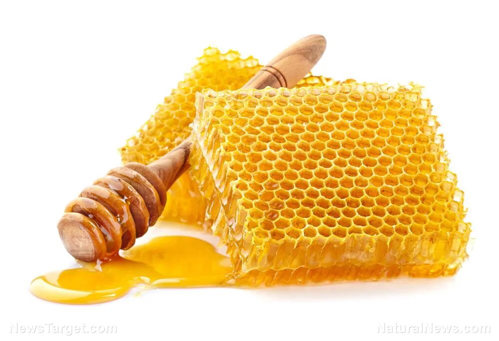 Мёд в сотах. Медовые соты. Мед с сотами. Мед соты пчелы. Much honey