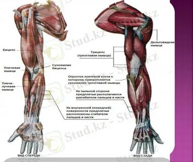 Ірі пландағы кончиттердің порно компиляциясын қараңыз