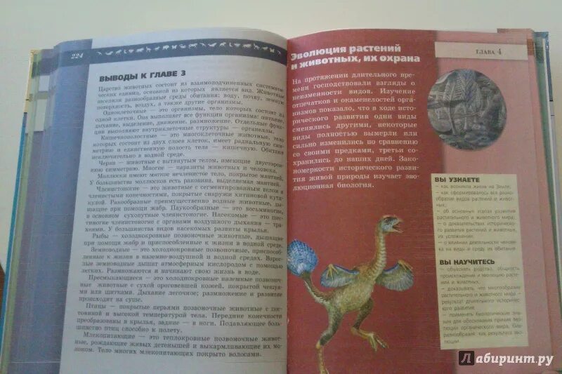 Биология 7 класс пасечник суматохин. Пасечник в. С. Биология 7 класс суматохин пасечник учебник. Биология 7 класс учебник пасечник с грибами.
