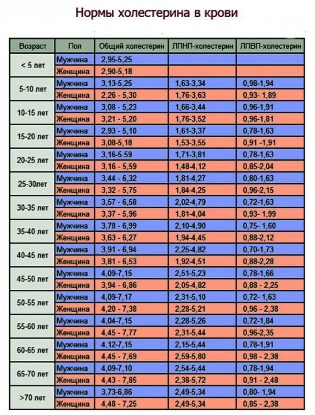 Не лпвп. Показатель холестерина в крови норма. Показатели холестерина в норме у женщин таблица. Нормы холестерина в крови у мужчин таблица. Холестерин показатели нормы для женщины.