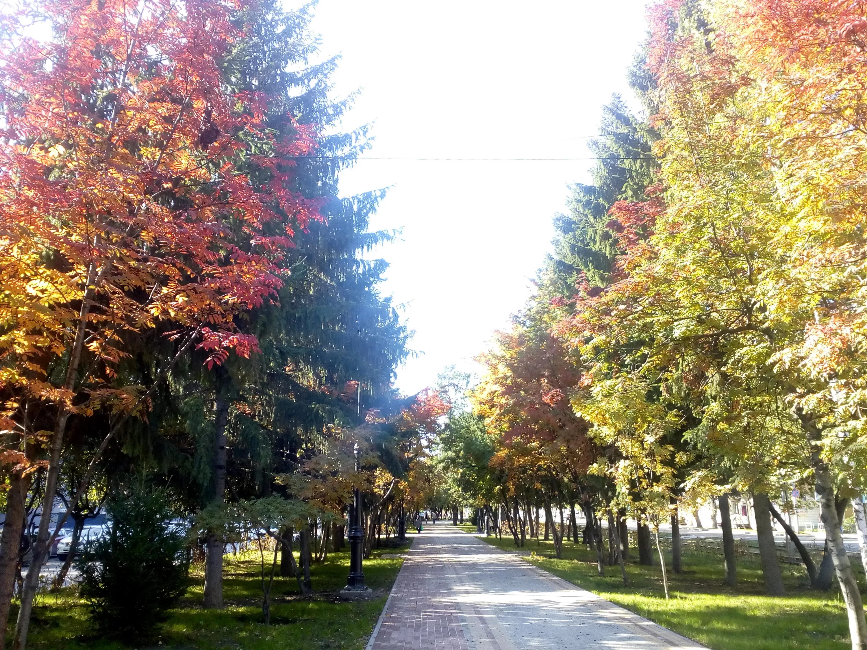 Томск пр кирова. Проспект Кирова Томск. Улица Кирова Томск. Аллея на Кирова Томск. Проспект Ленина.