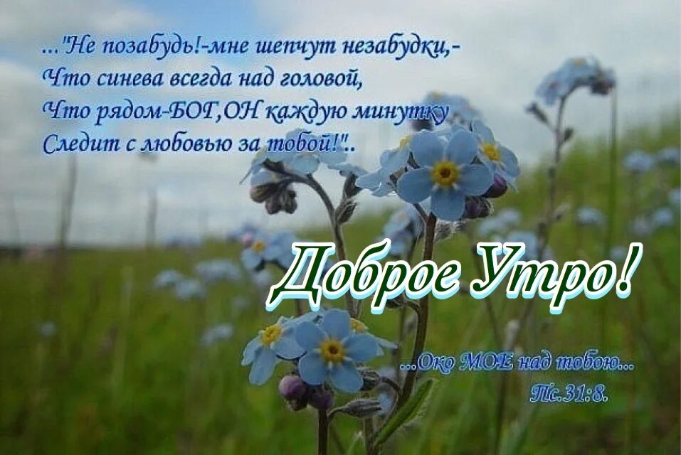 Незабудка со словами. Христианские пожелания на день. Христианские стихи открытки. Христианский стих про любовь Божью детям. Стихи про незабудки.