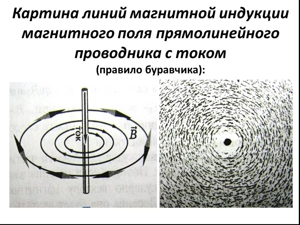 Картинки магнитных линий магнитного поля. Линии магнитной индукции прямого проводника. Линии индукции магнитного поля прямого проводника. Линии магнитной индукции и ток. Силовые линии магнитного поля провода.