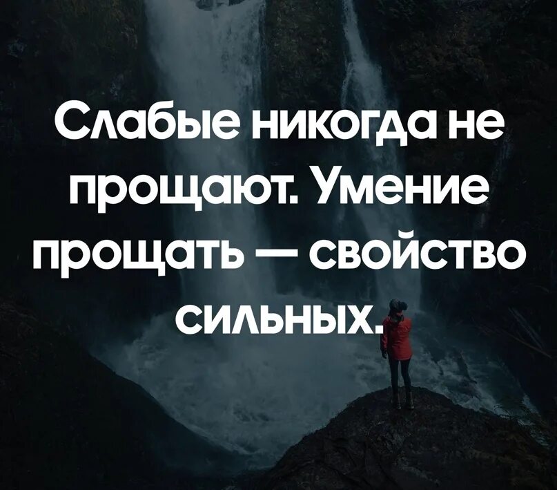 Слабое сильное свойство. Умение прощать свойство сильных. Умение прощать цитаты. Умение прощать свойство сильных слабые никогда. Прощение свойство сильных.