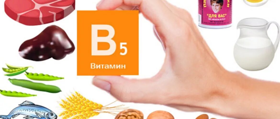 В5 для чего нужен организму. Витамин в5 пантотеновая кислота. Витамины группы б5. Витамин b5 пантотеновая кислота. Пантотеновая кислота в5 источники.