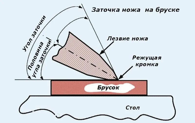 Заточка ножевых. Схема заточки ножа на заточном станке в градус. Порядок заточки ножей брусками. Правильный угол заточки кухонного ножа. Схема заточки ножа бруском.