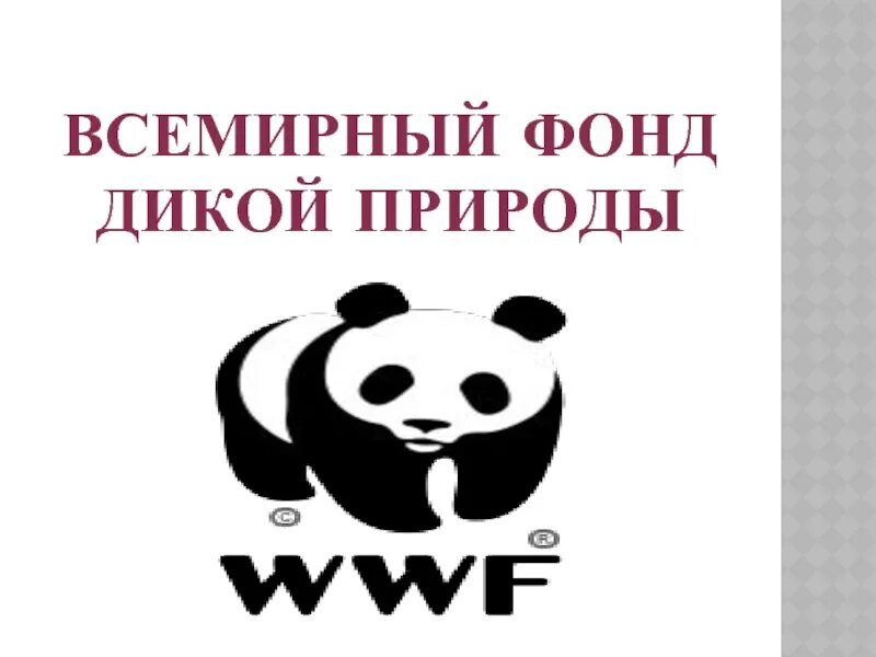 Всемирный фонд дикой природы. Девиз Всемирного фонда дикой природы. Всемирный фонд дикой природы эмблема. Всемирный фонд дикой природы презентация.