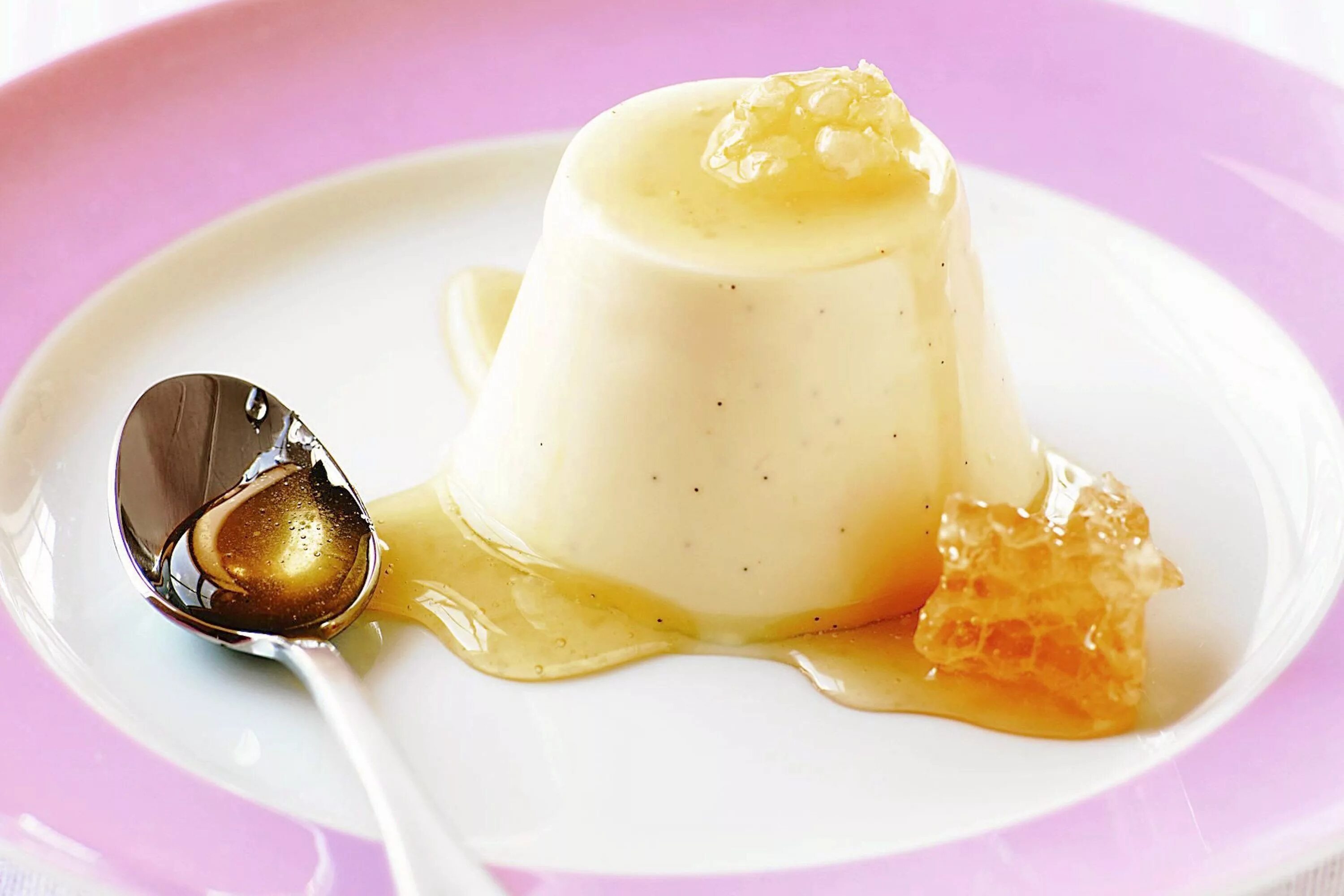 Десерты из меда. Десерт panna Cotta. Пудинг Панна котта. Медовая Панна котта. Панна-котта классический.