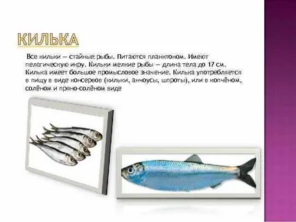 Рыбы процент