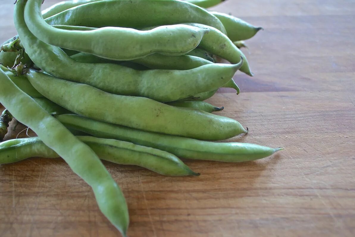 Fresh broad bean pods stock photo. Image of cooking, food - 96131738