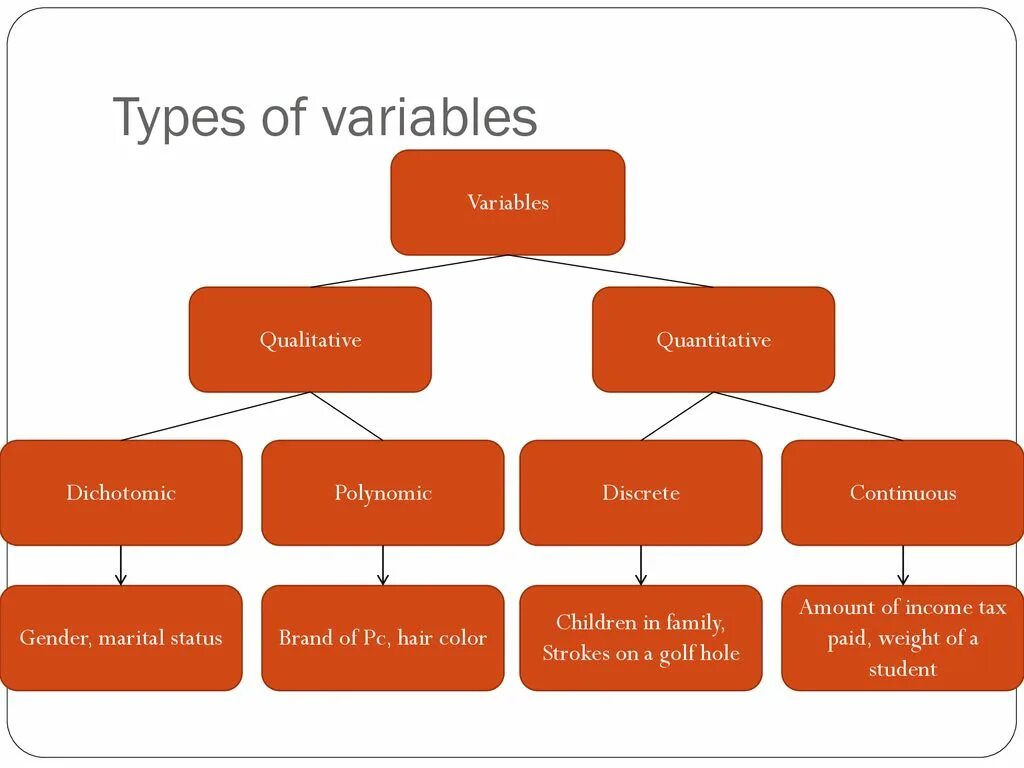 Type randomstring type. Types of variables. Types of variability. Variables примеры. Variability and its Types.