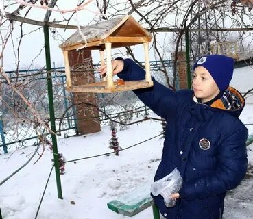 Птицы зимой дети кормят птиц зимой
