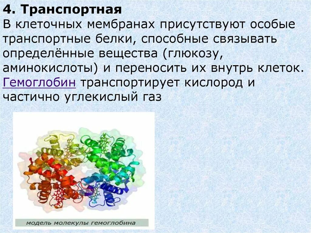 Транспортные белки клетки. Белок транспортирующий. Транспортные белки клеточных мембран. В состав входят транспортные белки