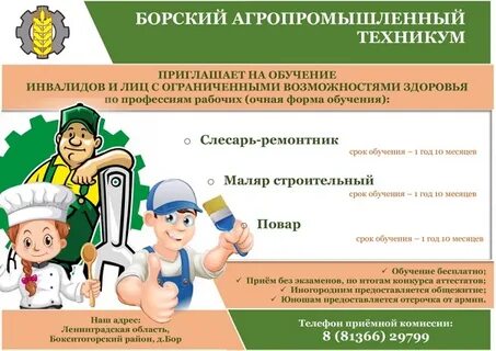 Борский колледж