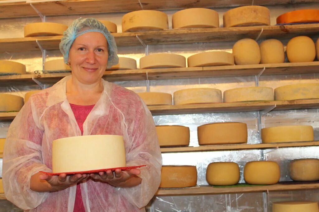 сырная деревня сыр. сырная деревня куяган 2022. сыр. сырная деревня. праздник сыра куяган 2022.