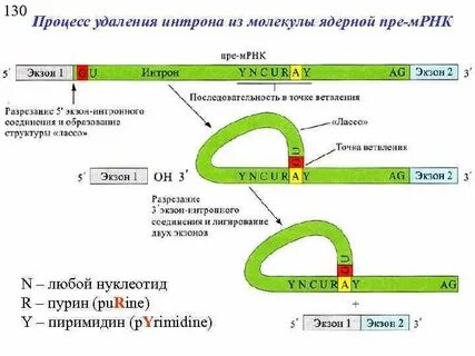 Участок мрнк способный