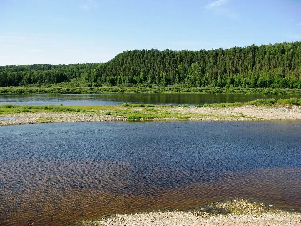 Река сухона города. Река Сухона Вологодской области. Исток Сухоны. Исток реки Сухона. Опоки Сухонское чудо.
