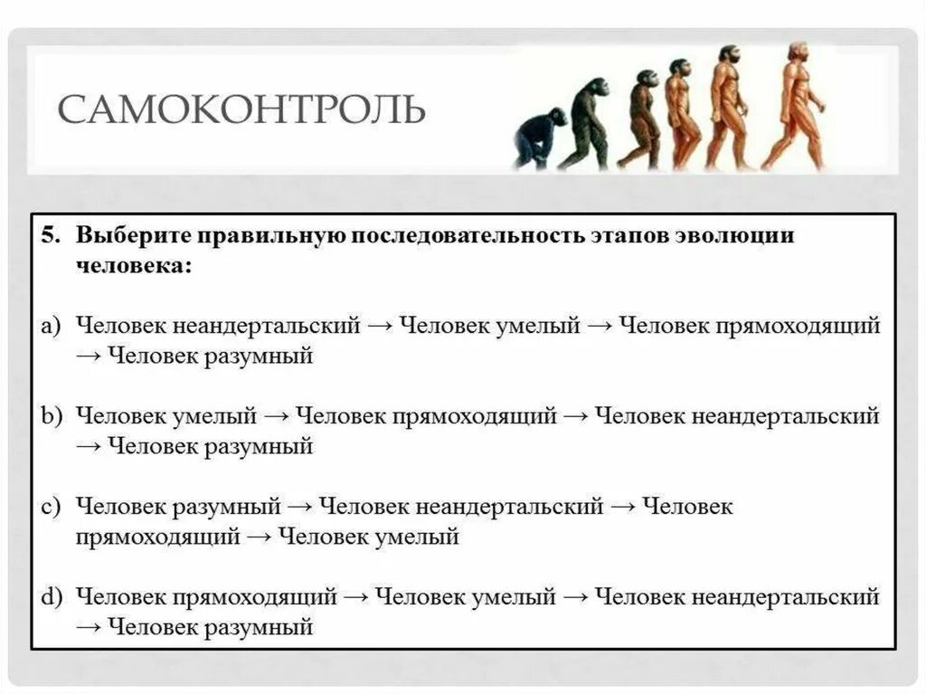 Верная последовательность антропогенеза. Этапы происхождения человека схема. Происхождение человека стадии эволюции человека. Цепочка эволюционного развития человека. Эволюционное происхождение человека 9 класс биология.