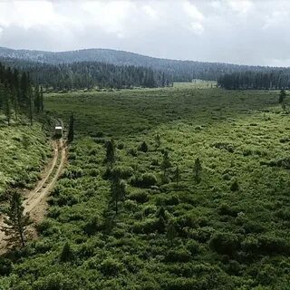 Парк чикой