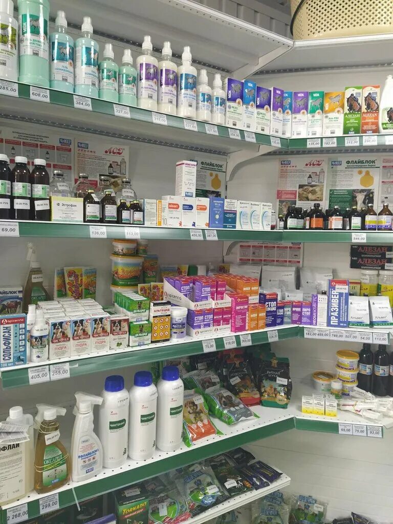 багира логотип. багира бахчисарай. багира группа параноид. багира бахчисарай. визитки багира.