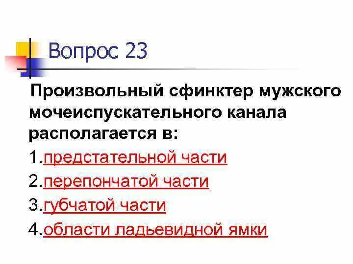 Мужской и женский мочеиспускательные каналы. Произвольный сфинктер мочеиспускательного канала. Произвольный сфинктер мочеиспускательного канала у мужчин. Произвольный сфинктер мочеиспускательного канала образован. Произвольный сфинктер мочеиспускательного канала расположен в части.