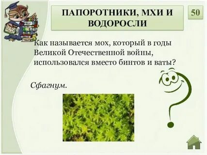 4 как называется наука изучающая мхи
